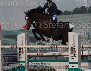 Bologni A  Amerigo TosTour 2013- S5 3272